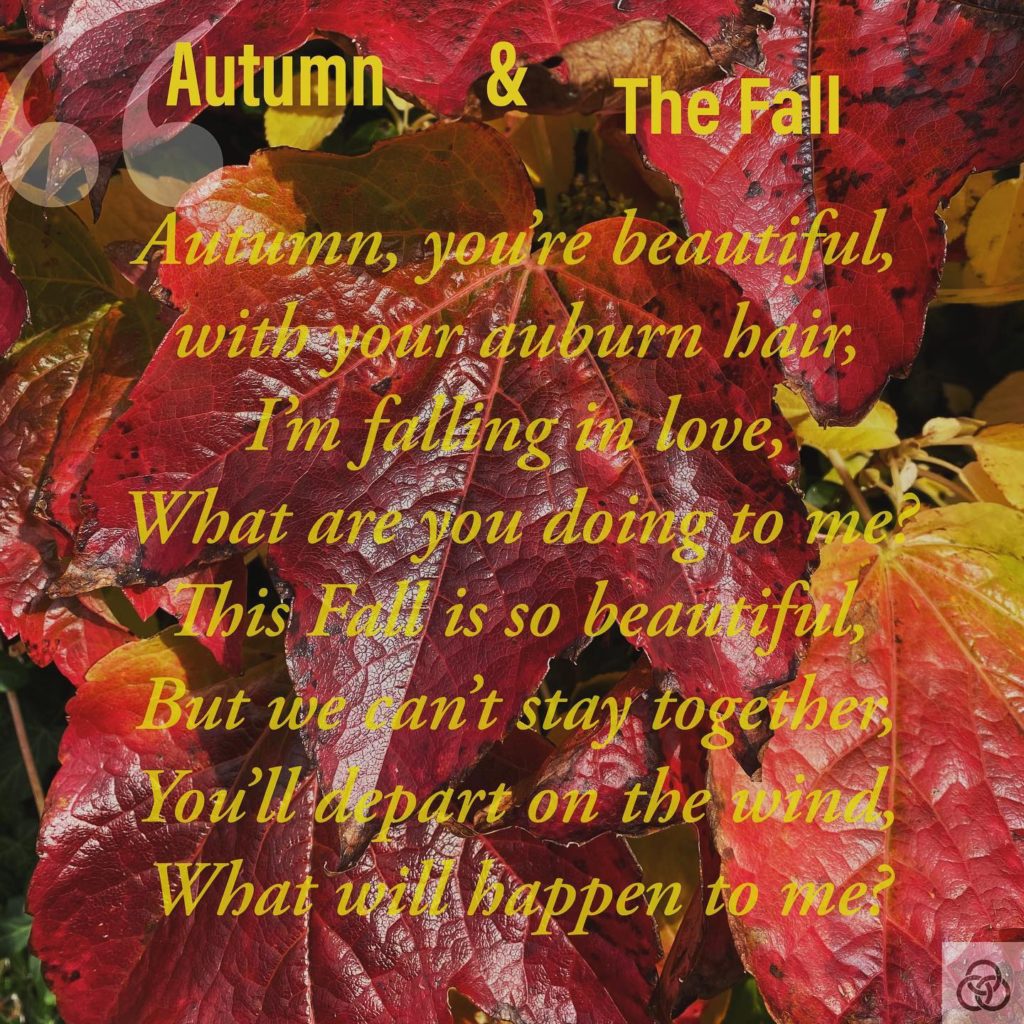 Autumn & the Fall#Autumn #TheFall #Love Are You Enlightened Yet? #AYEY #wordscanchangetheworld #poetry #poetrycommunity #poetrylovers #poetryofinstagram #poetryisnotdead #poetryislife #poetrysociety #writerscommunity