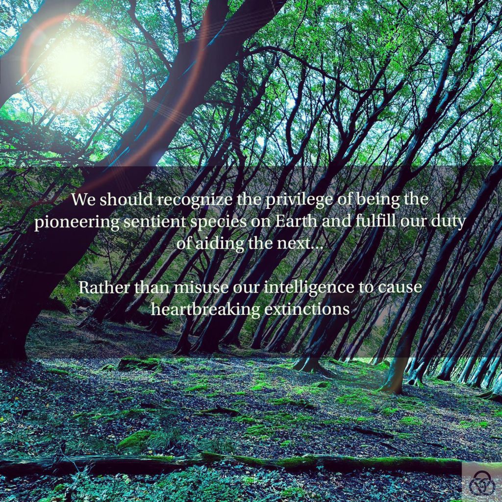 Endeavor to become, to grow and encourage growth...️#Enlightenment #Nature #forest #trees #WebOfLife #growth #empowerment #love Are You Enlightened Yet? #AYEY #wordscanchangetheworld #poetry #poetrycommunity #poetrylovers #poetryofinstagram #poetryisnotdead #poetryislife #poetrysociety #writerscommunity