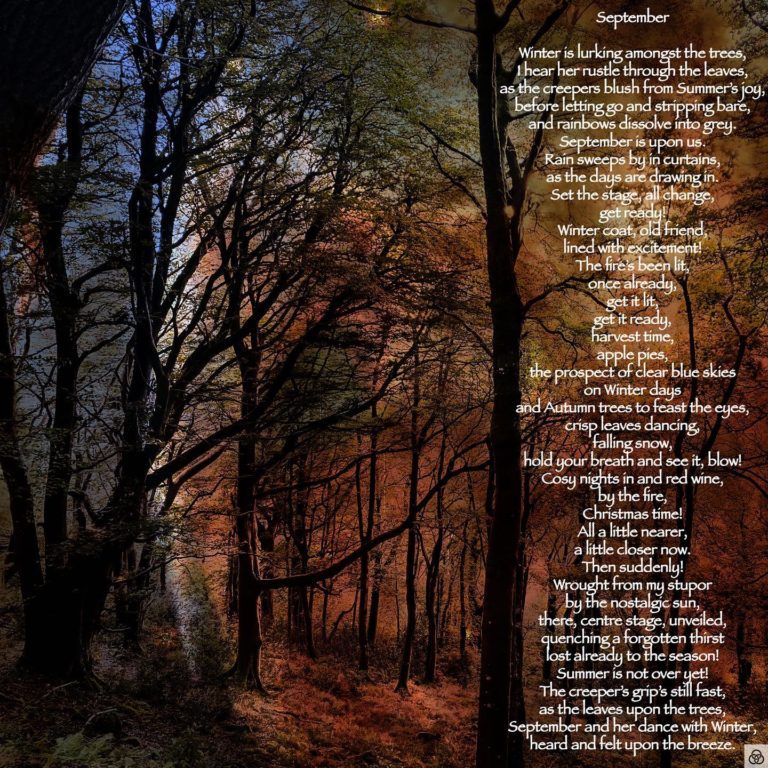“September” – Written on September 2nd.Read it on www.thr33rings.com tooThree Rings Art & Poetry – Are You Enlightened Yet? #AYEY #ThreeRingsArtAndPoetry#wordscanchangetheworld #poetry #poetrycommunity #poetrylovers #apoeticcommunity #poetryofinstagram #poetryisnotdead #poetryislife #poetrysociety #writerscommunity #Meditation #meditationpoetry #becomeone #becomeonewithnature #becomeonewiththeuniverse #enlightenment #spiritualenlightenment #spiritualawakening #enlightenmentpoetry #enlightenment_art #enlightenmentquotes #enlightenmentistherevolution #meditationspace #meditationquotes #meditationart #meditationrevolution #meditationrevealsthetruth #meditationrevealstruth