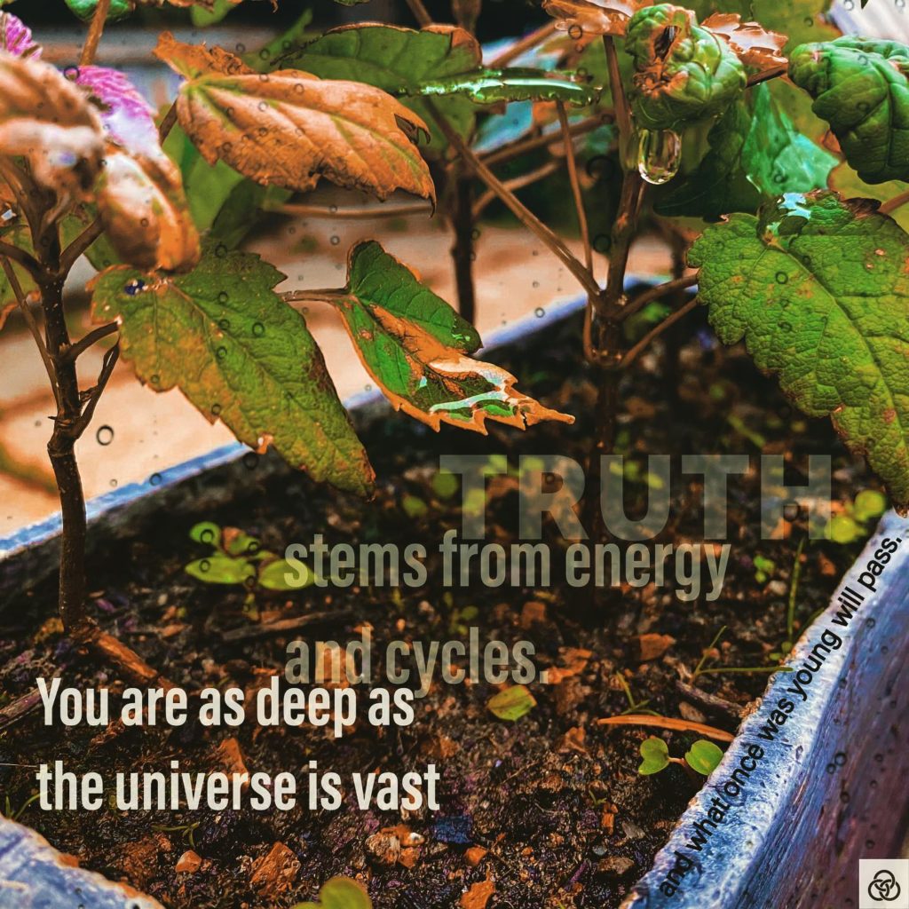 TRUTHAre You Enlightened Yet? #AYEY #wordscanchangetheworld #threerings #poetry #poetrycommunity #poetrylovers #poetryofinstagram #poetryisnotdead #poetryislife #poetrysociety #writerscommunity #Meditation #meditationpoetry #becomeone #becomeonewithnature #becomeonewiththeuniverse #enlightenment #spiritualenlightenment #spiritualawakening #enlightenmentpoetry #enlightenment_art #enlightenmentquotes #enlightenmentistherevolution #meditationspace #meditationquotes #meditationart #meditationrevolution #meditationrevealsthetruth #meditationrevealstruth #meditationrevealsall