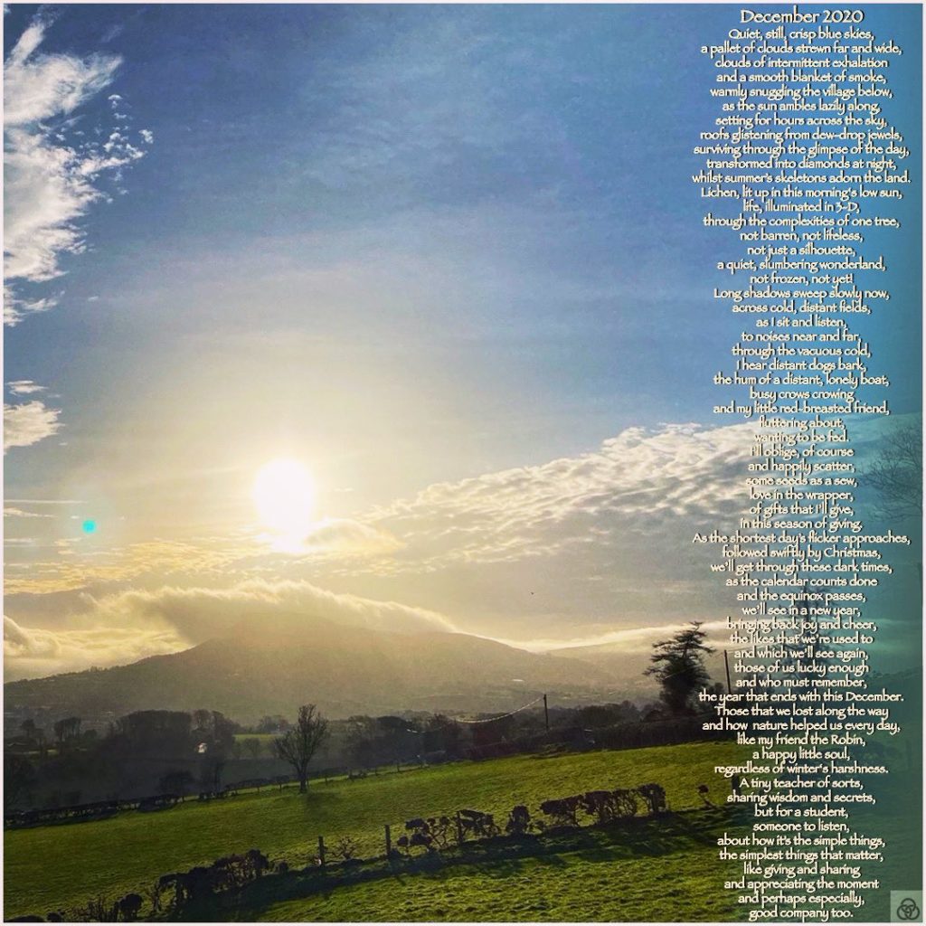 December 2020A poem recently written,on a beautiful day,as the nights draw in tightly...️Three Rings Art & Poetry - Are You Enlightened Yet? #AYEY #ThreeRingsArtAndPoetry#wordscanchangetheworld #poetry #poetrycommunity #poetrylovers #poetryofinstagram #poetryisnotdead #poetryislife #poetrysociety #writerscommunity #Meditation #meditationpoetry #becomeone #becomeonewithnature #becomeonewiththeuniverse #enlightenment #spiritualenlightenment #spiritualawakening #enlightenmentpoetry #enlightenment_art #enlightenmentquotes #enlightenmentistherevolution #meditationspace #meditationquotes #meditationart #meditationrevolution #meditationrevealsthetruth #meditationrevealstruth #meditationrevealsall