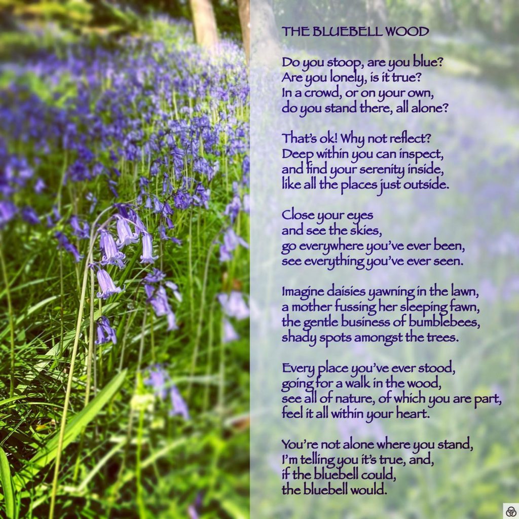 The BlueBell Wood#poetrycommunity #poetry #poetrylovers #poetryofinstagram #poetryisnotdead #poetryislife #poetrysociety #poets_oftomorrow #writingcommunity #writersofinstagram #writing #nature #existence #consciousness #threerings #wordscanchangetheworld #enlightenment #areyouenlightenedyet #ayey